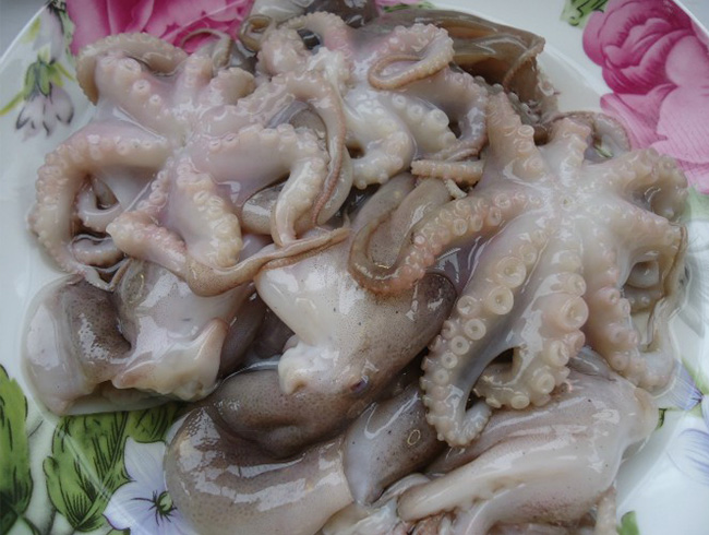 冰鲜八爪鱼