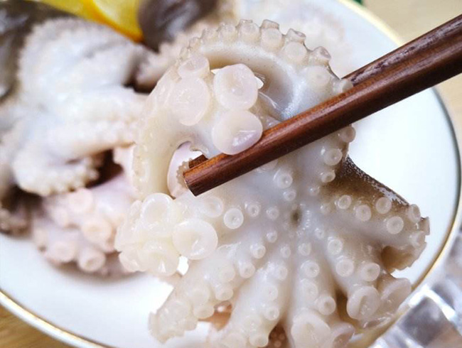盐磨八爪鱼