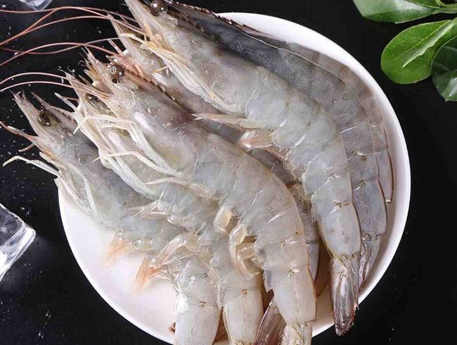 厄瓜多尔白虾