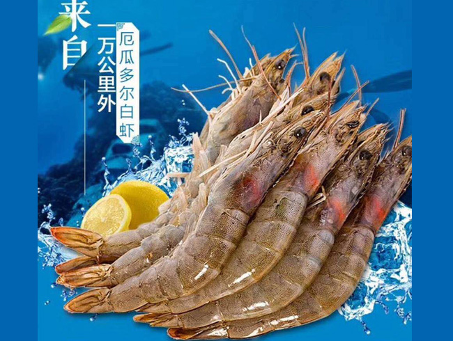 厄瓜多尔白虾