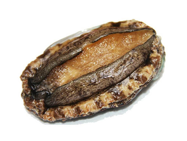 8头鲍鱼
