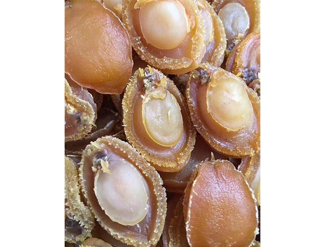 大连干鲍(40头）