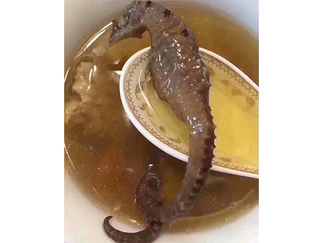 老海马