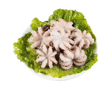 八爪鱼